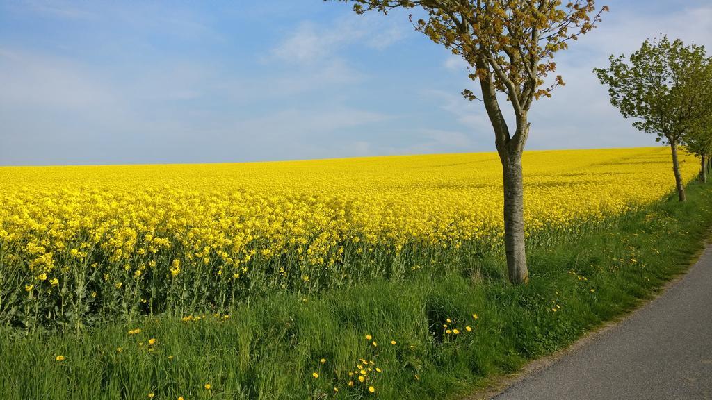 Ferien An Der Ostsee Thomsdorf  Zewnętrze zdjęcie